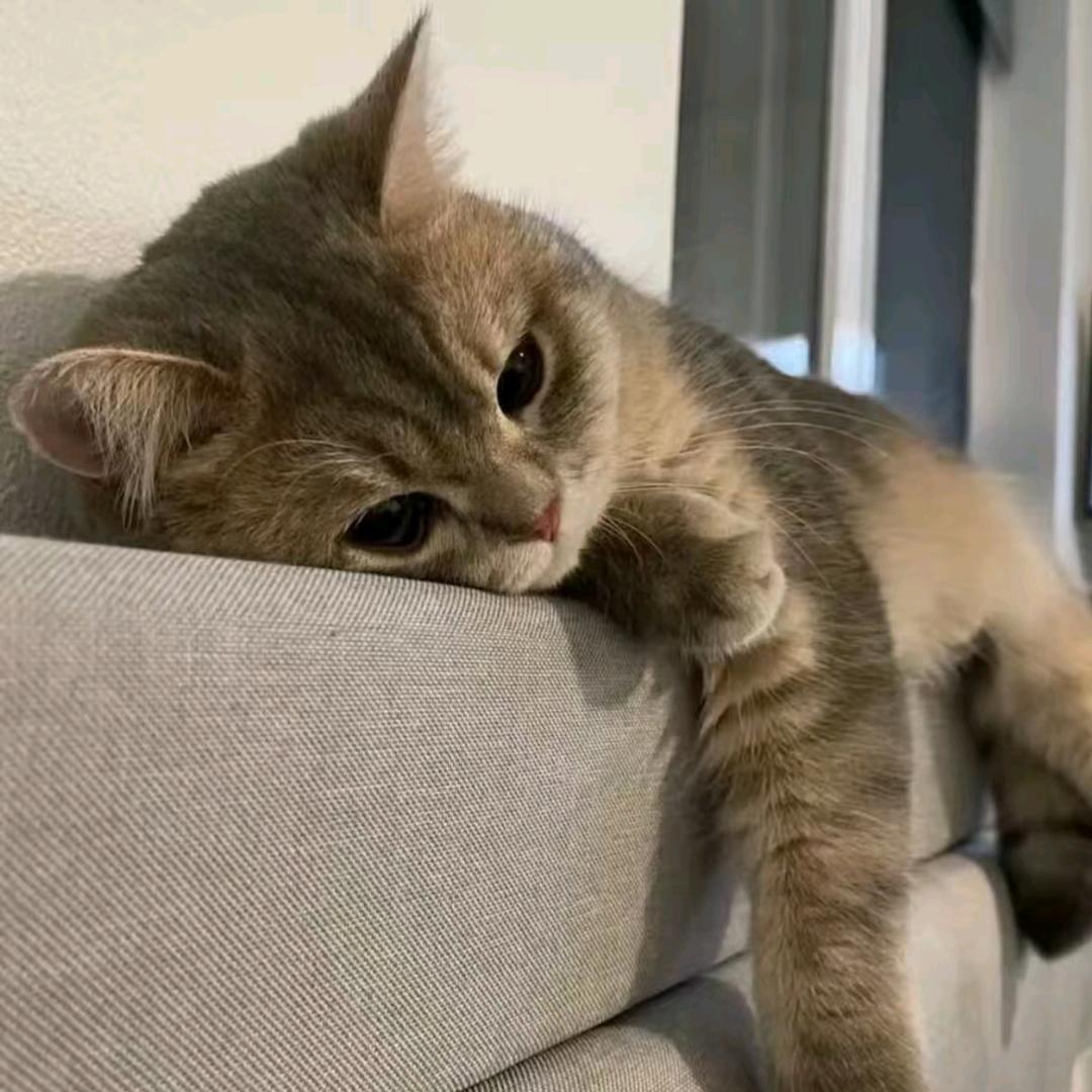 －.－