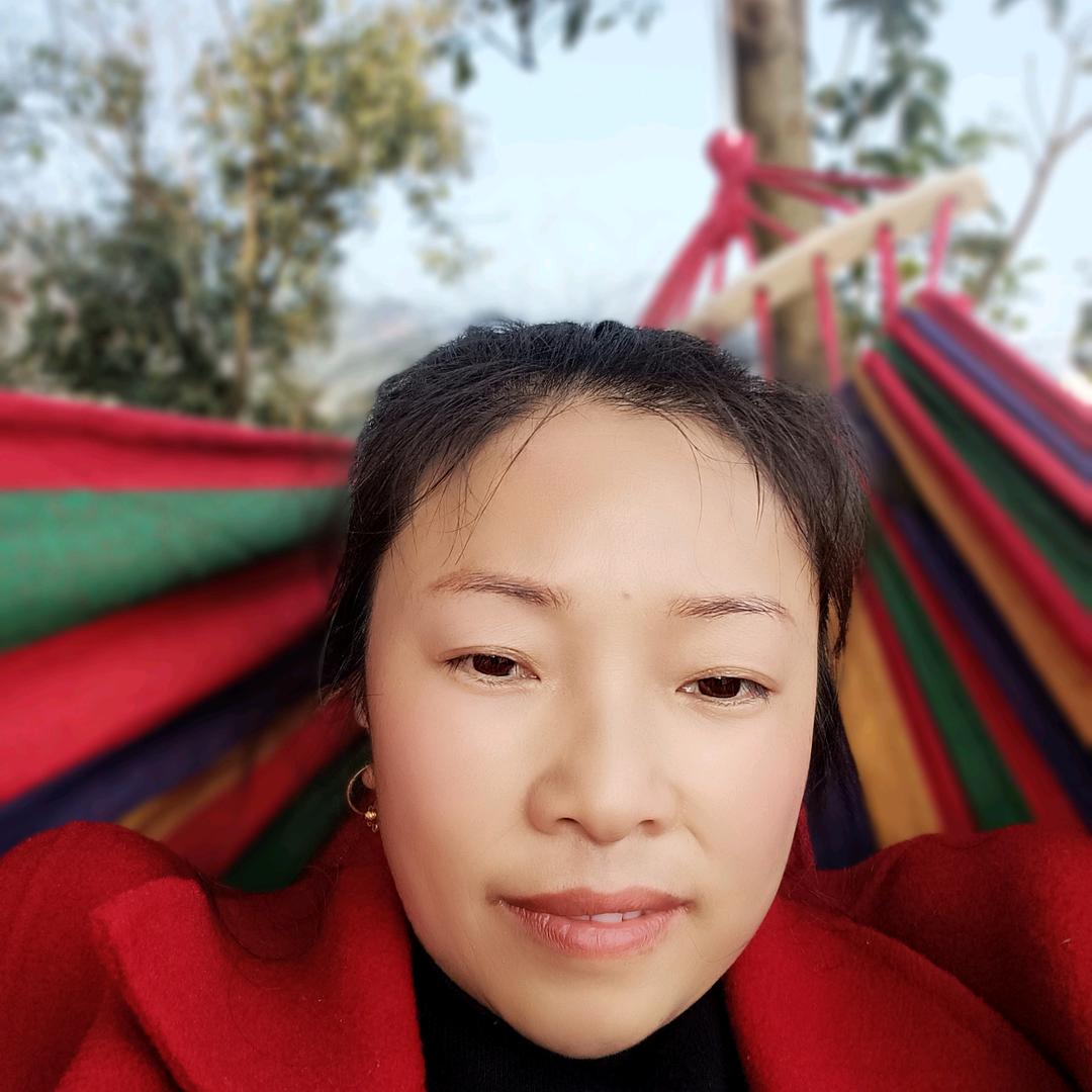 辛福小高