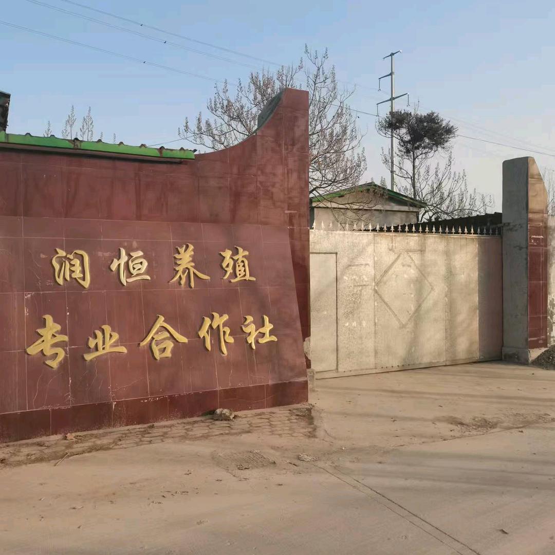 润恒养殖宠物狗