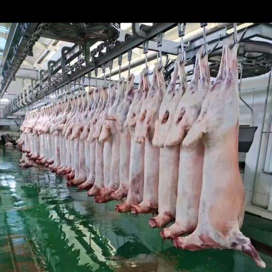 B大西北牛羊肉—全国发货