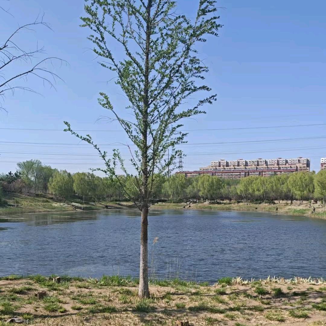 宇宙的尽头是东平