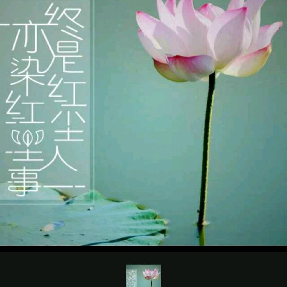 满目山河