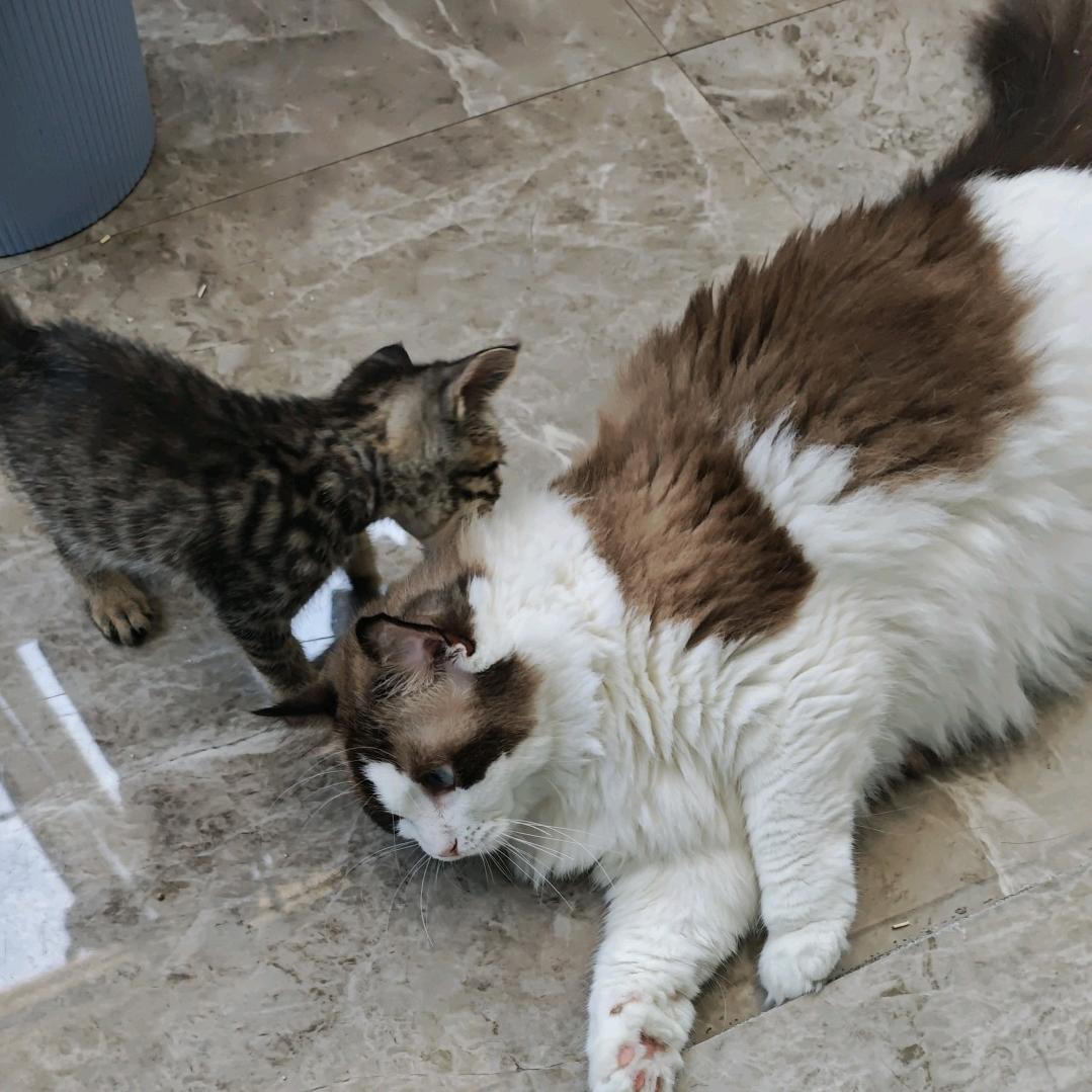 姜七七和张富贵