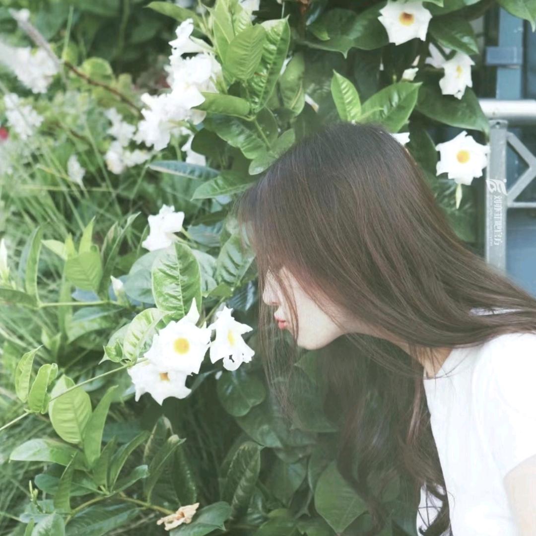 星砂铸野（画画版）