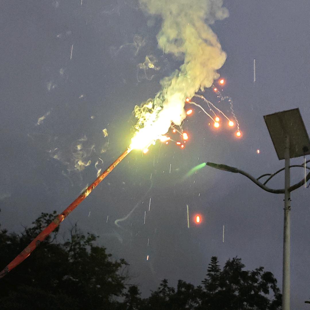 万物与我皆明媚