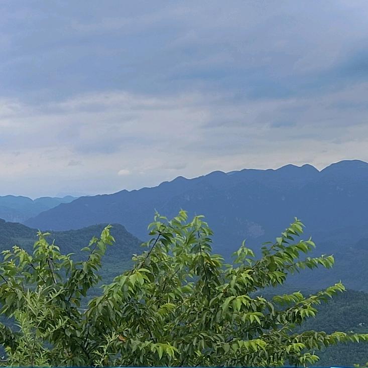 一生选择