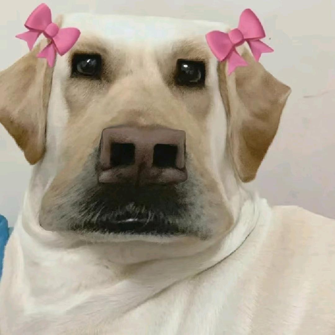 道友言之有理！