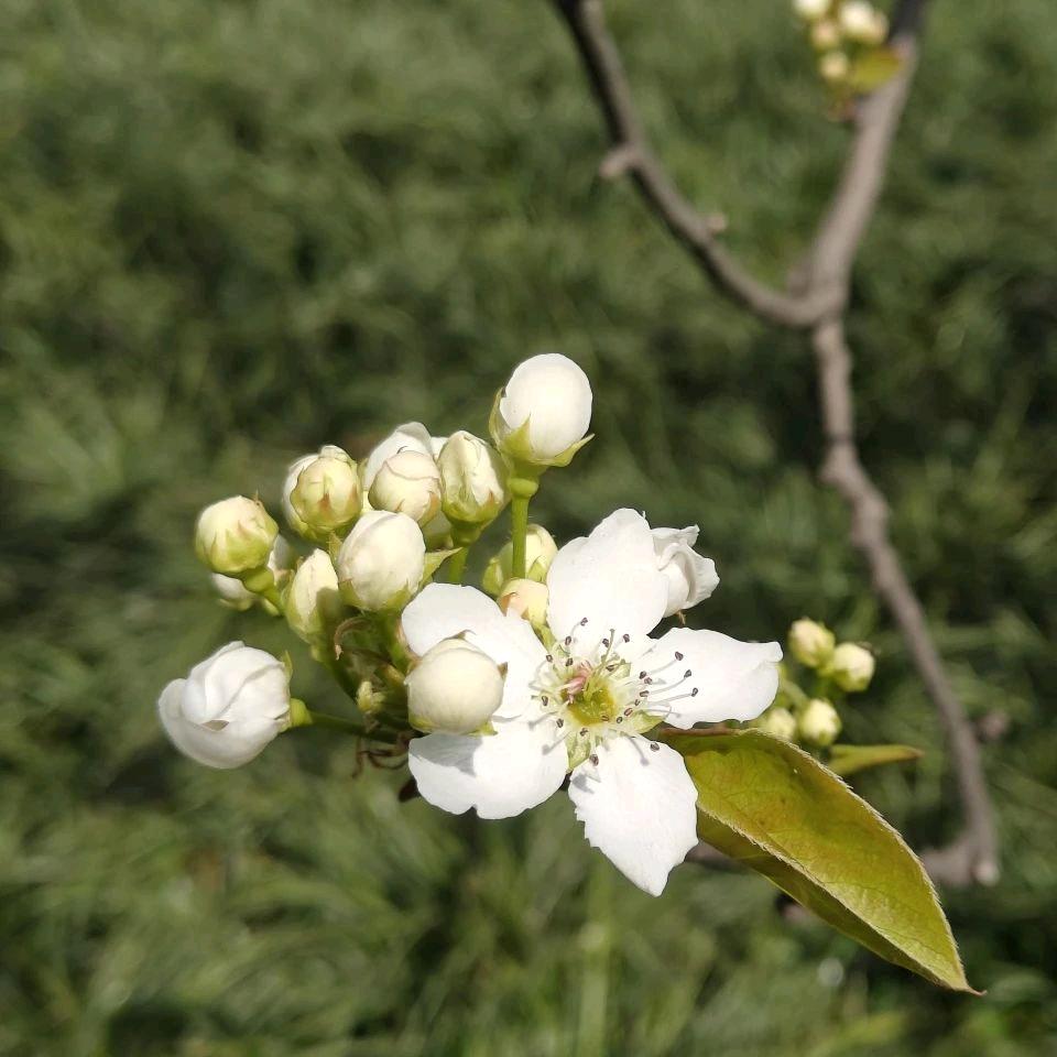 一切都是最好的安排
