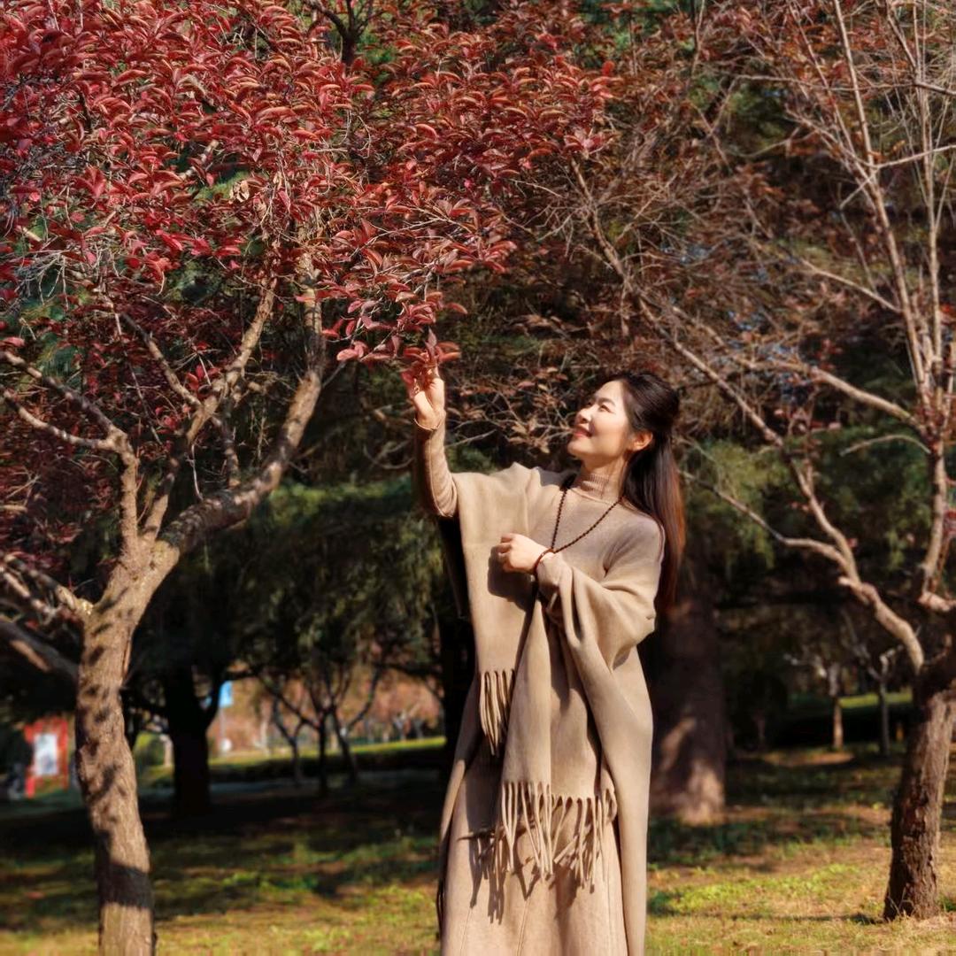 果庄翰林书法邴兴丽