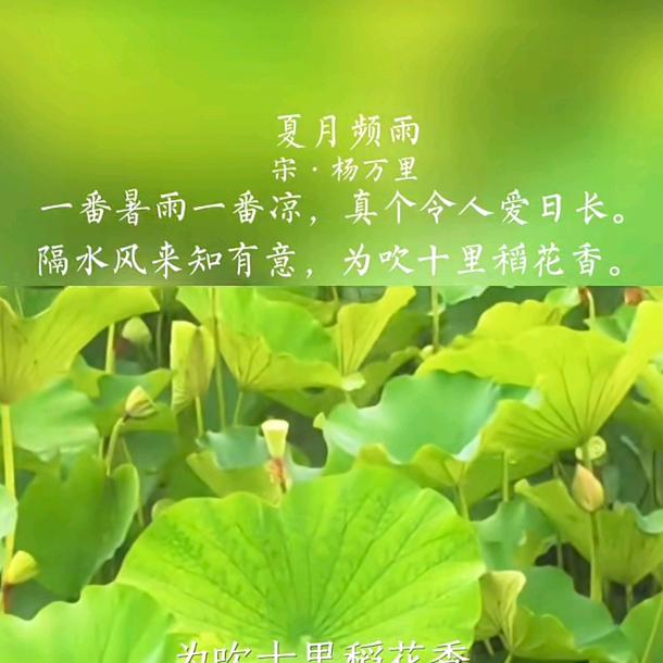王普通头像