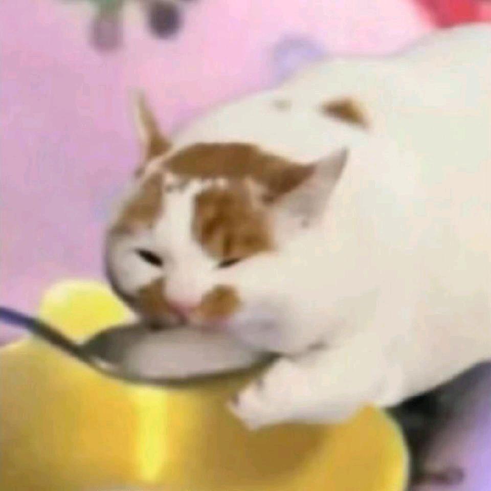 来碗绿豆汤