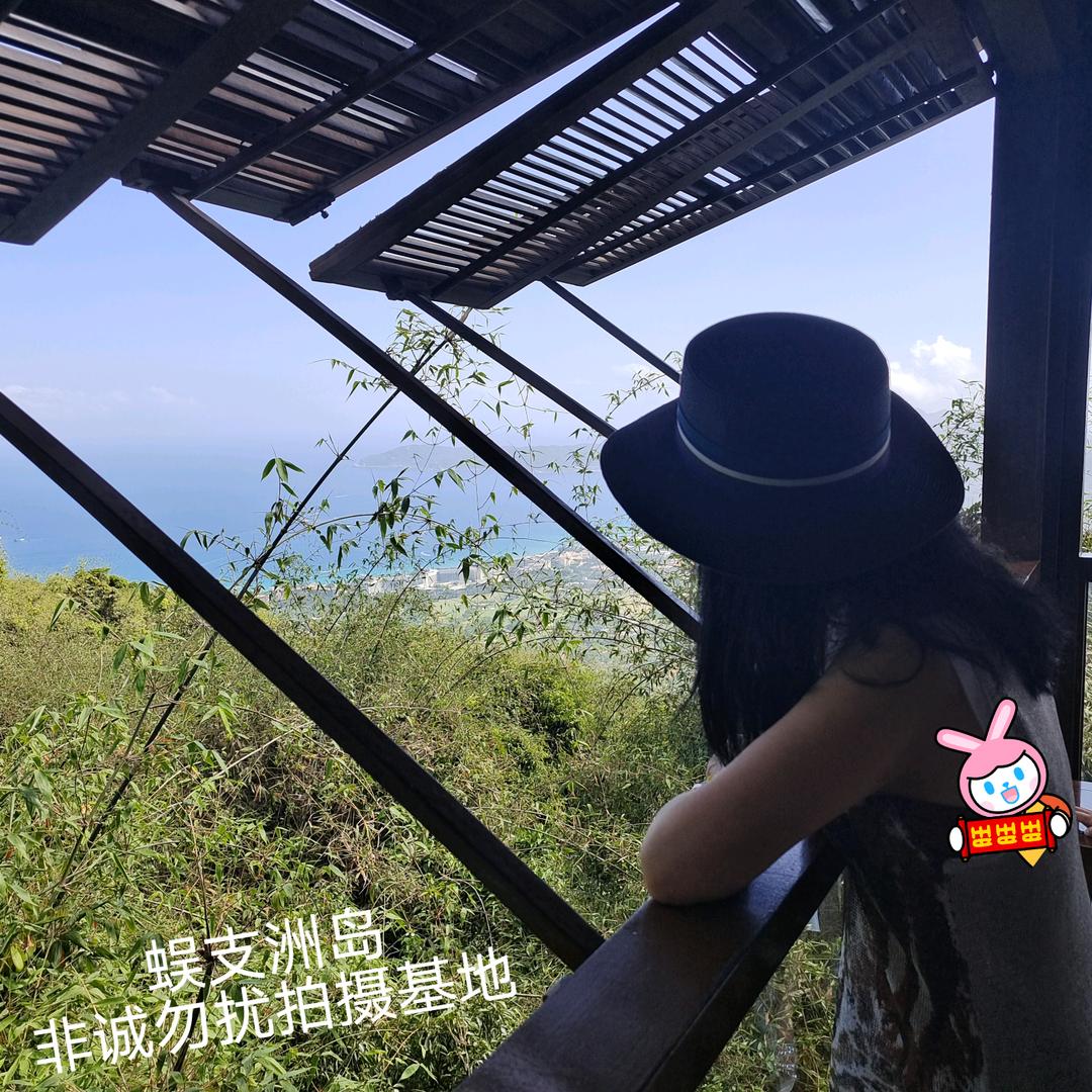 琴澜月月