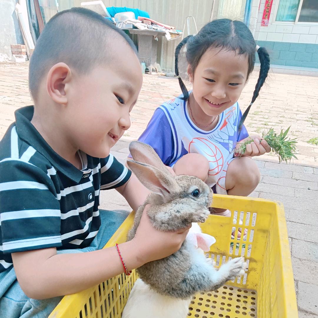 撒不见的@