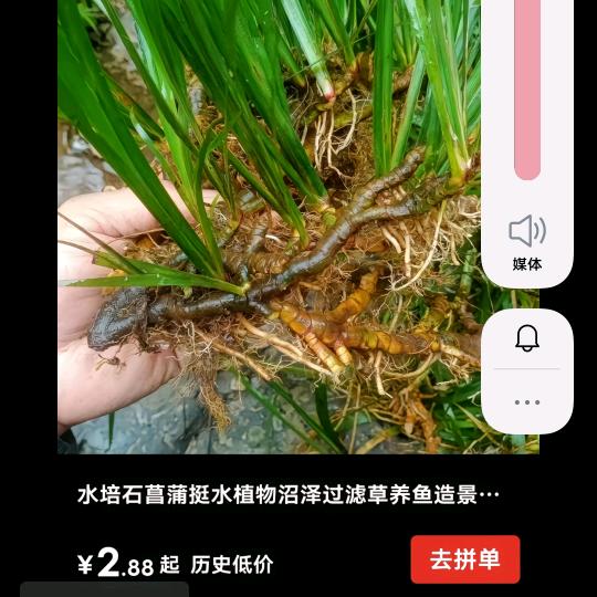 碧海蓝天