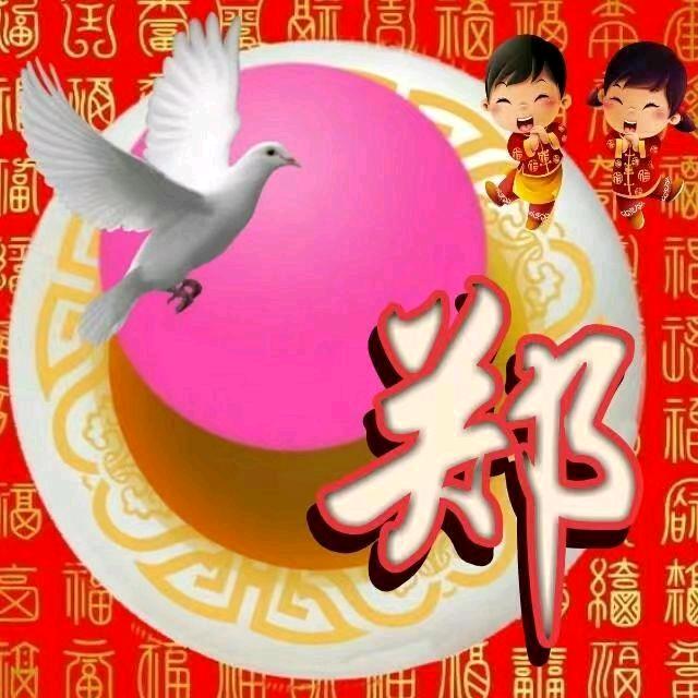 🐯开心每一天
