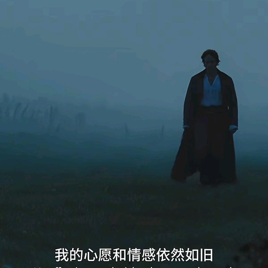 木色四合我煮茶