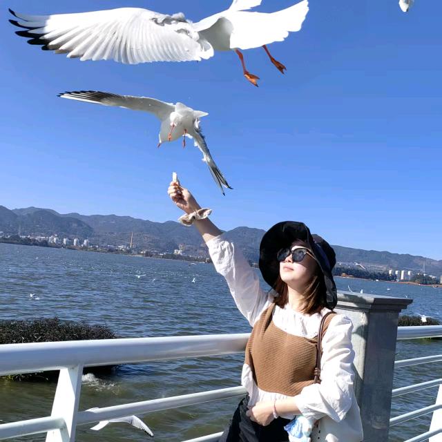 板车小公主🫶