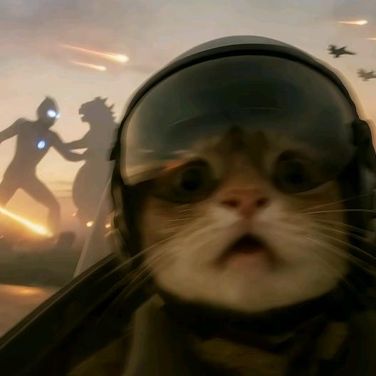 黑8（三角洲行动）