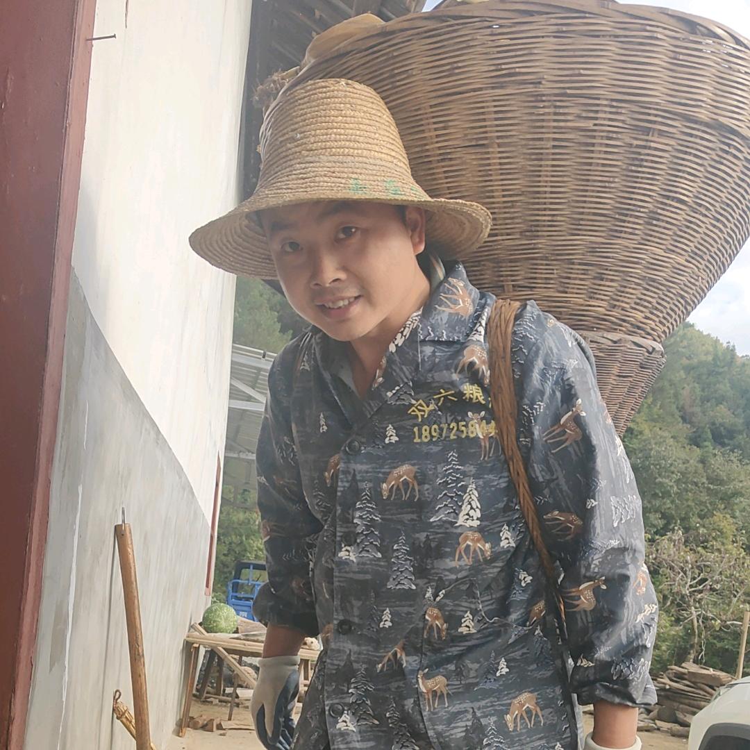 周孝红
