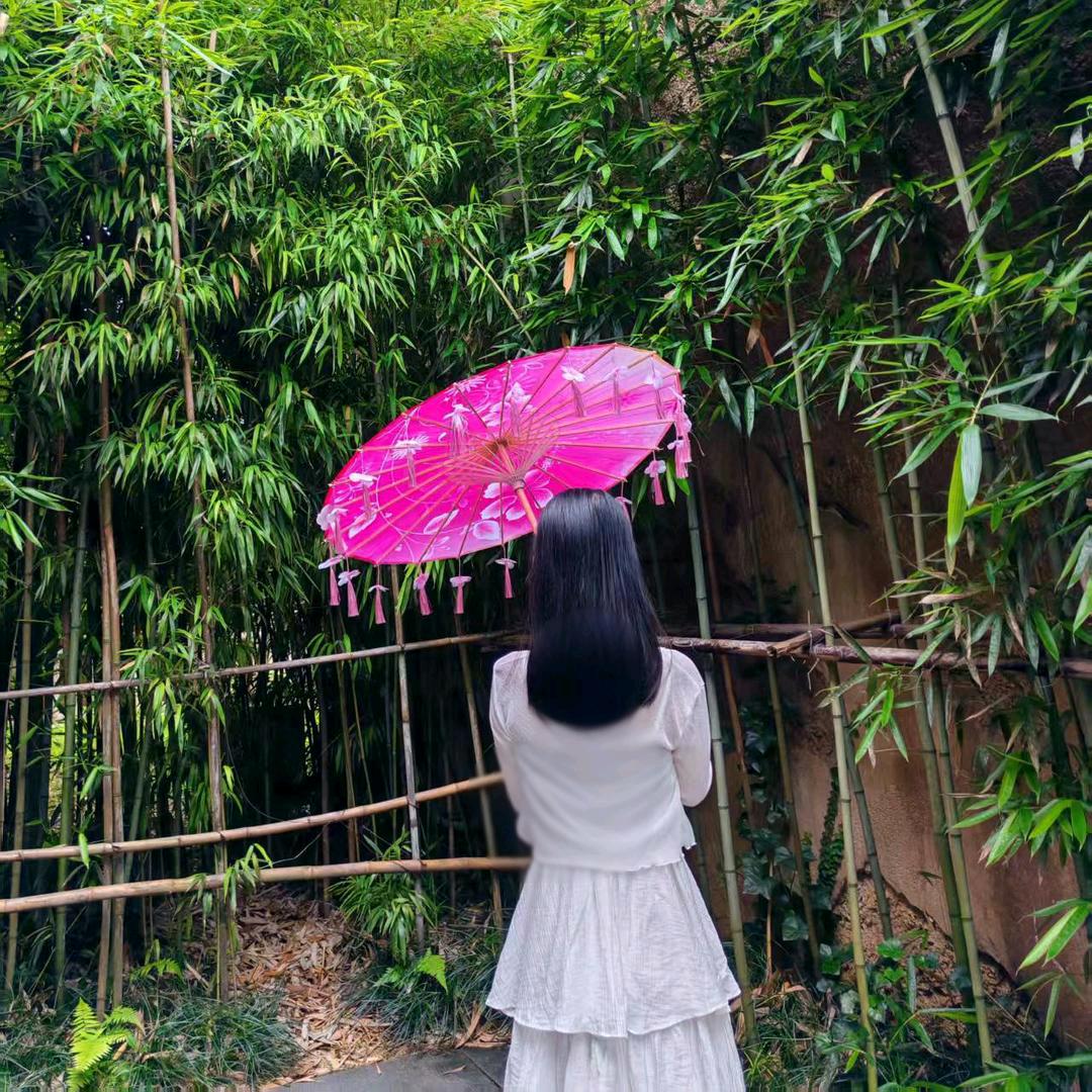 五妹《驾培C1 C2》