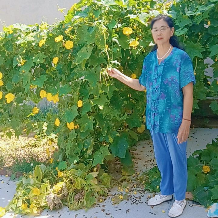 南宫50后