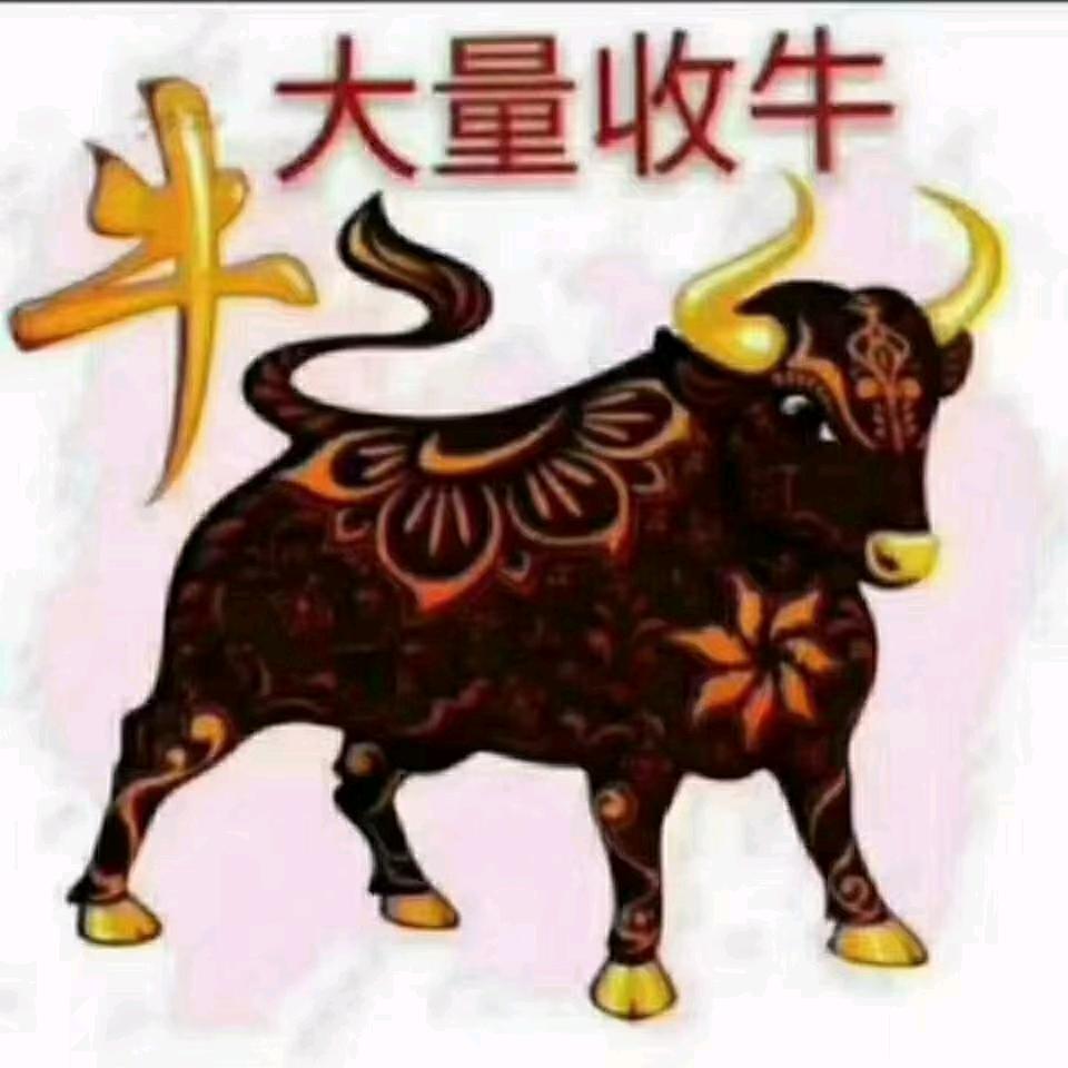双阳小辉牧业