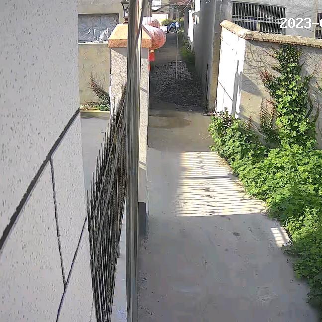 自由人生
