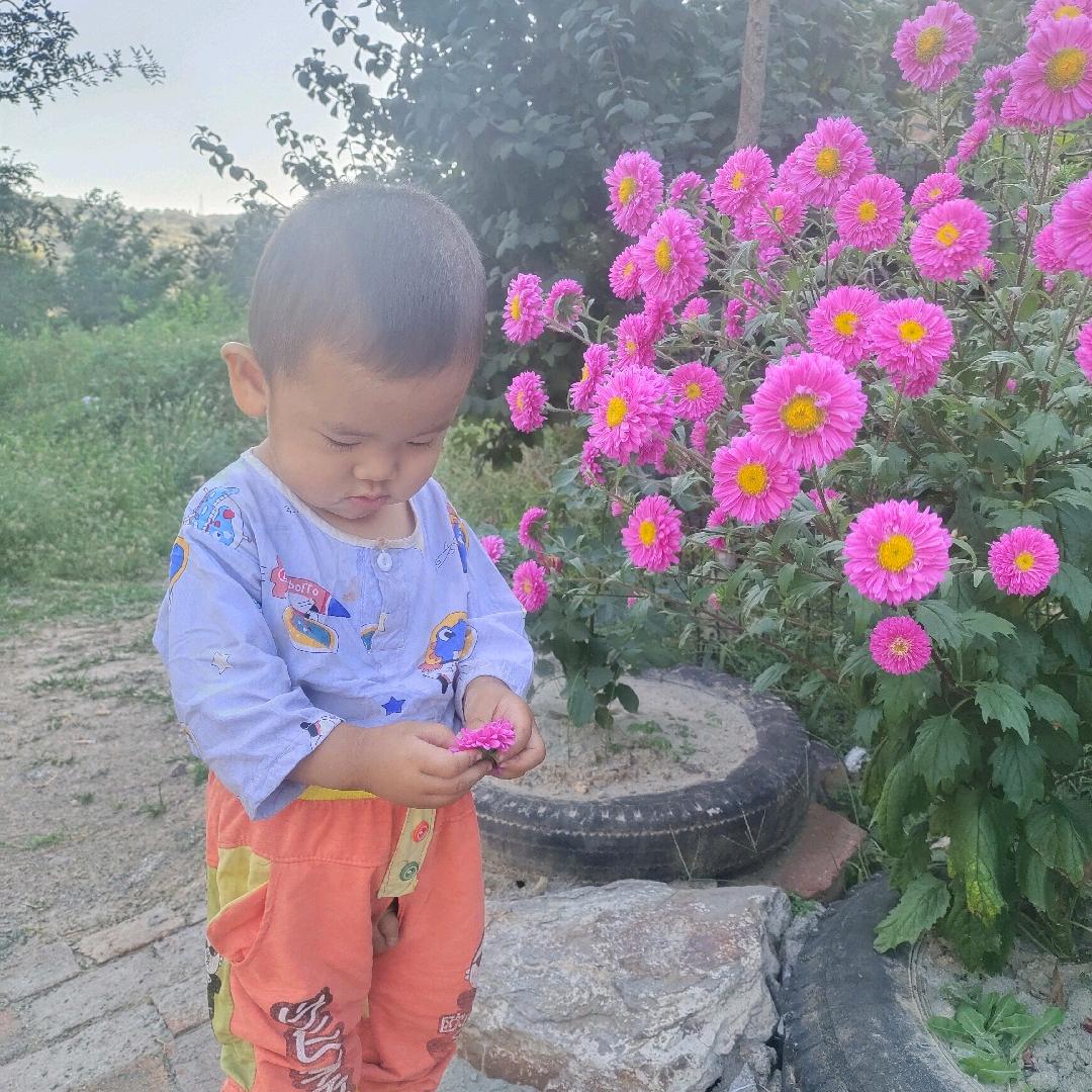 光头强彩刚树枝瓦安装