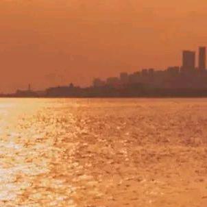 往后的人生给缘分走