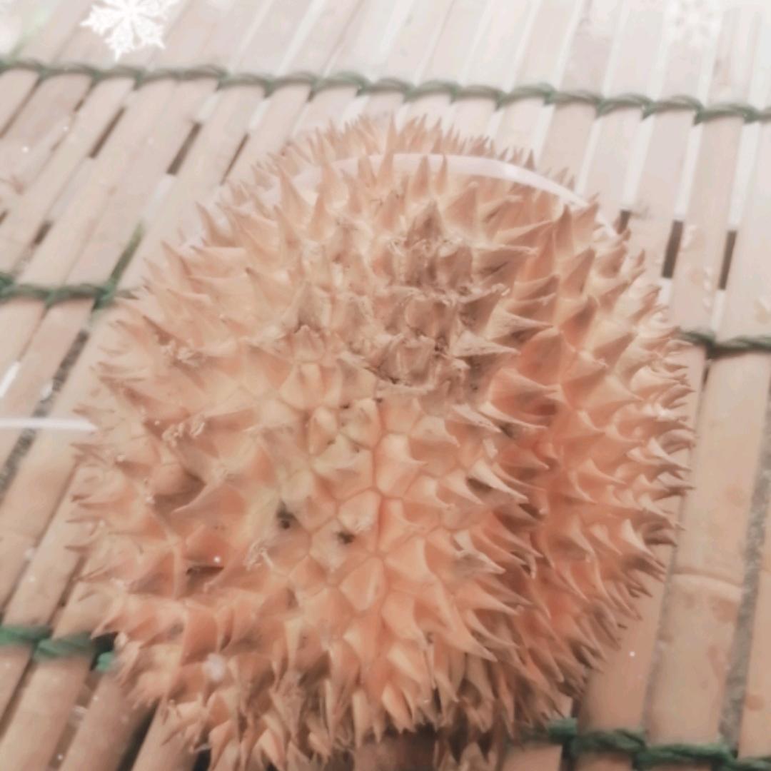 仪气泰国金枕榴莲