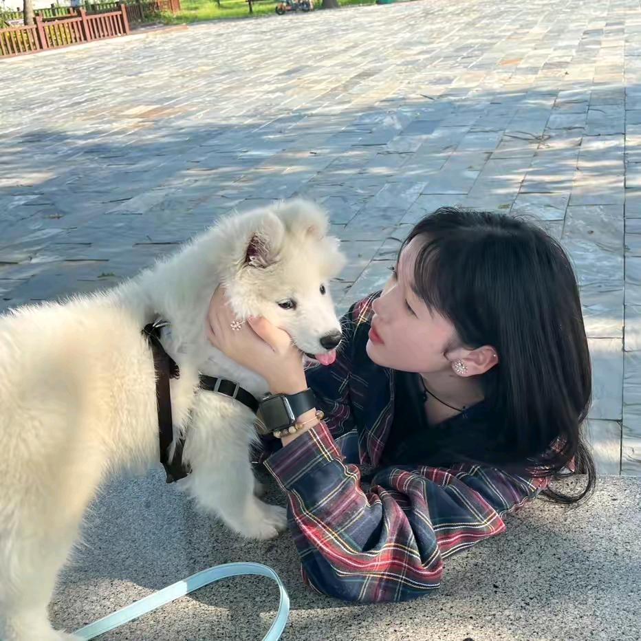 清风吹过人间