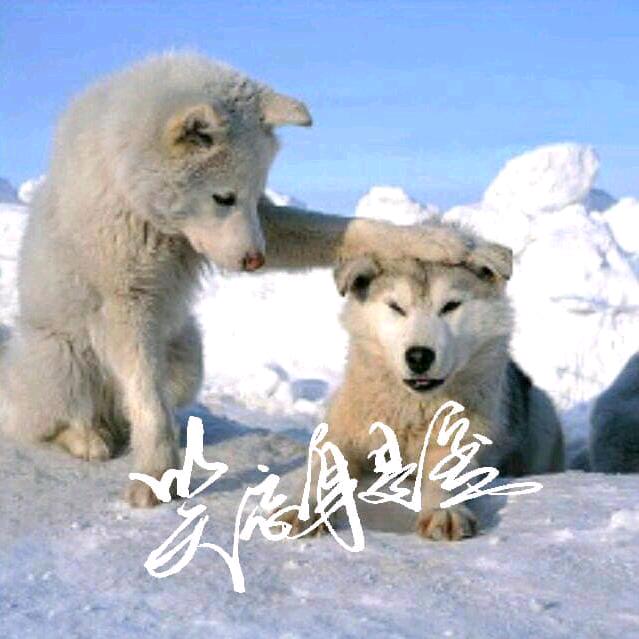 笑忘身是客