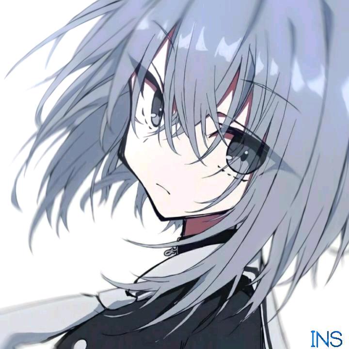 INS_南苏