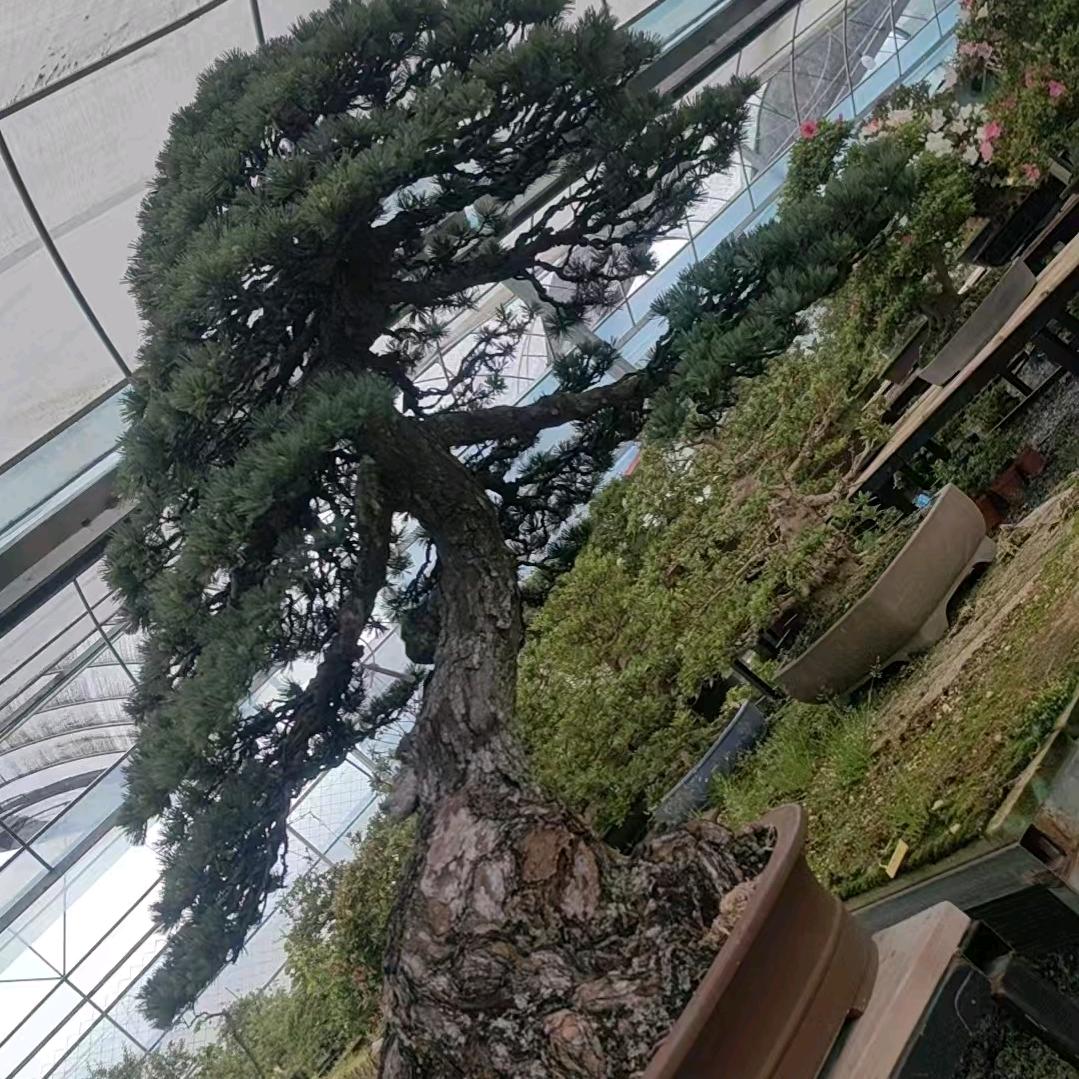 腾垚百货精选