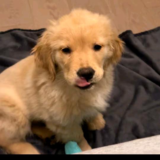 仙仙商贸(锦绣汉江四区店)湖北省岑承嗣然直播号