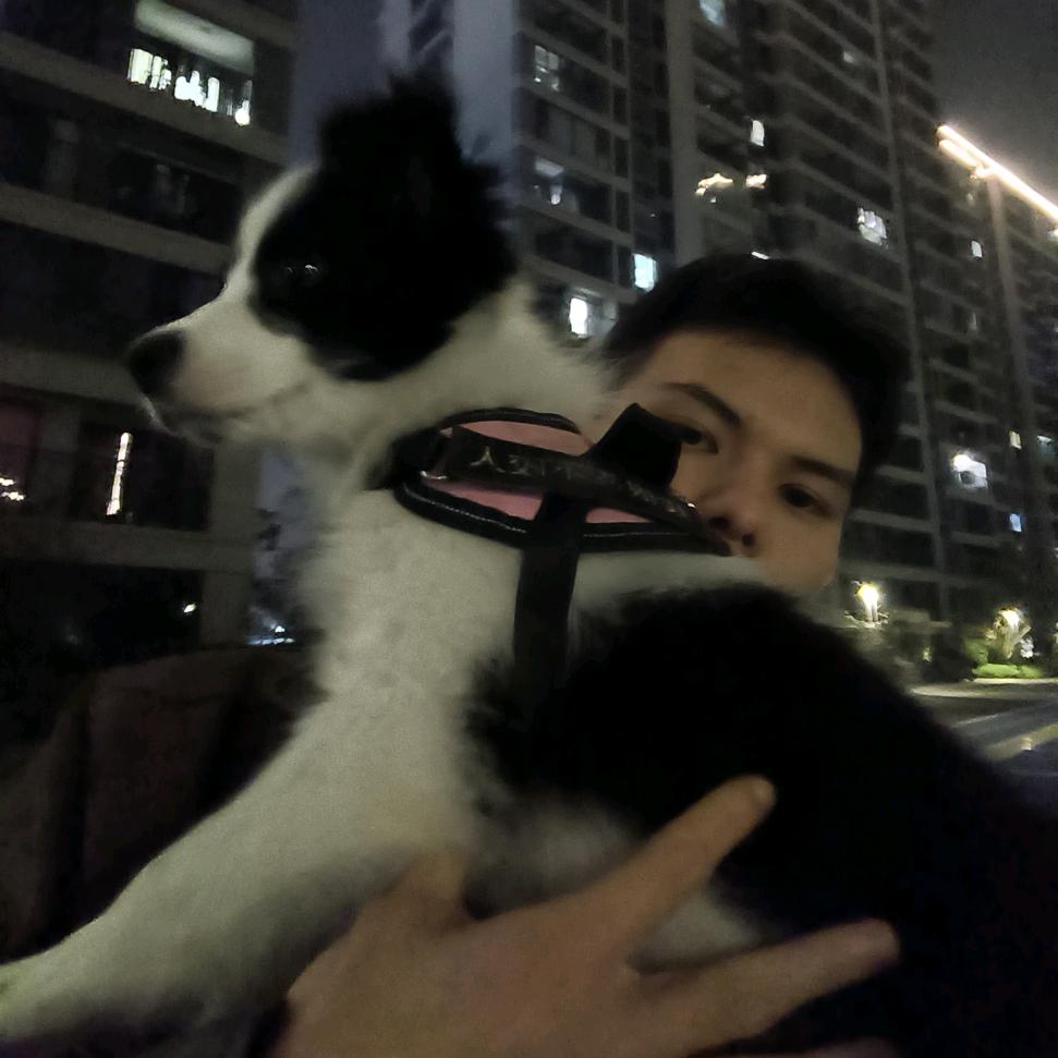 轻手恐龙🦖