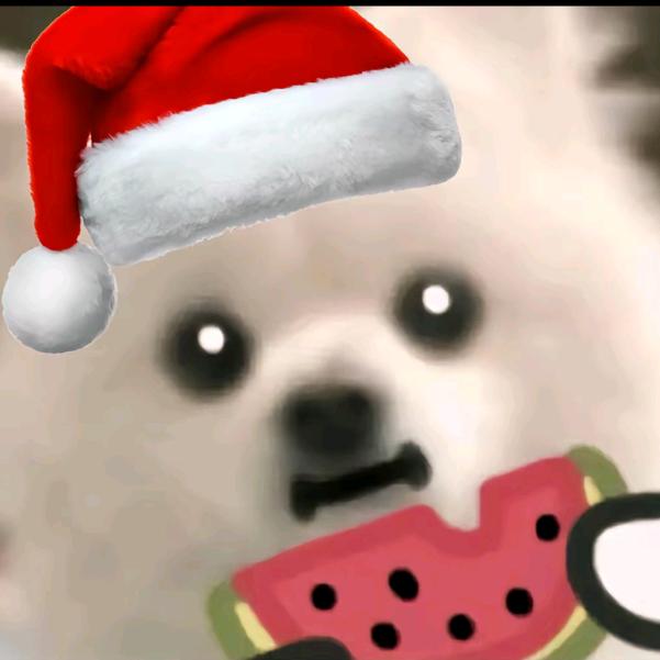 梦求真（暗区突围)