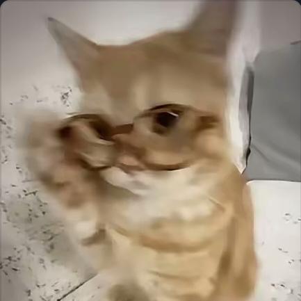 白夜