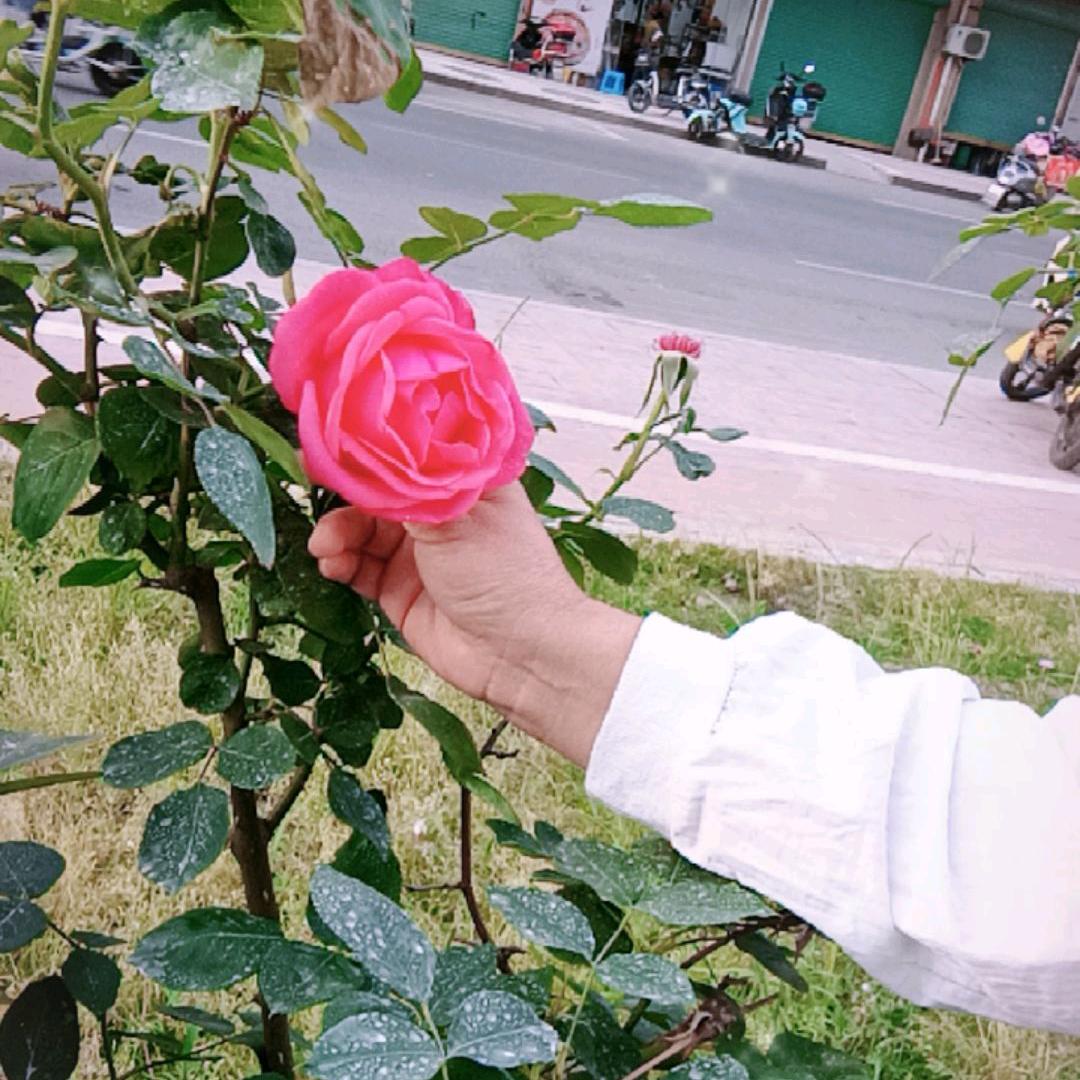 张🎈🎈🎈影   《拒绝连赞》