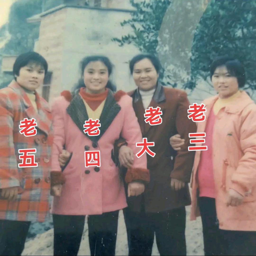 @@田英，72年的老鼠。