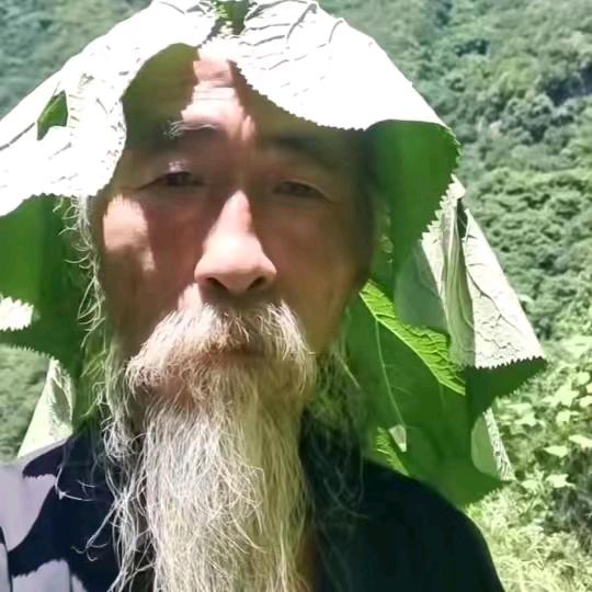 西呱（找份工作游戏主播）