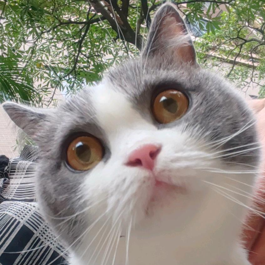 花开有时 绽放有期