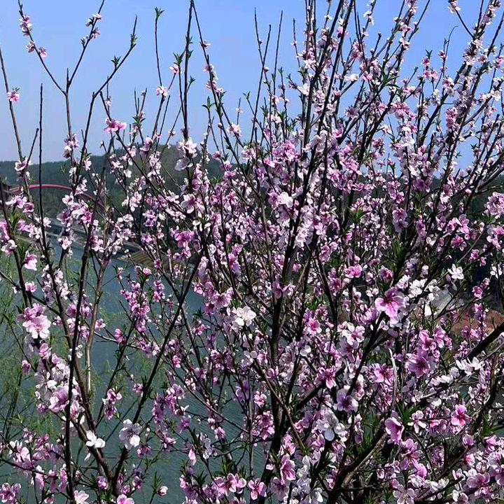 天在下雨我在想你