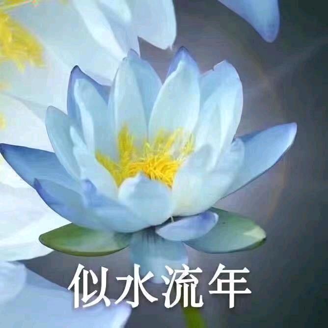 夕阳