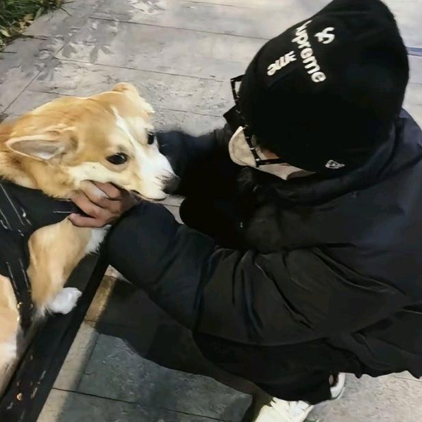 铲屎官🐶