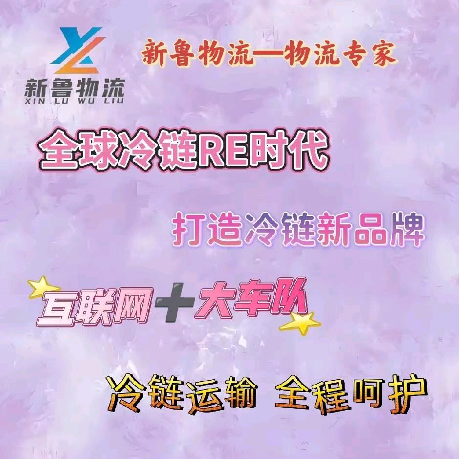 新鲁冷链－小何