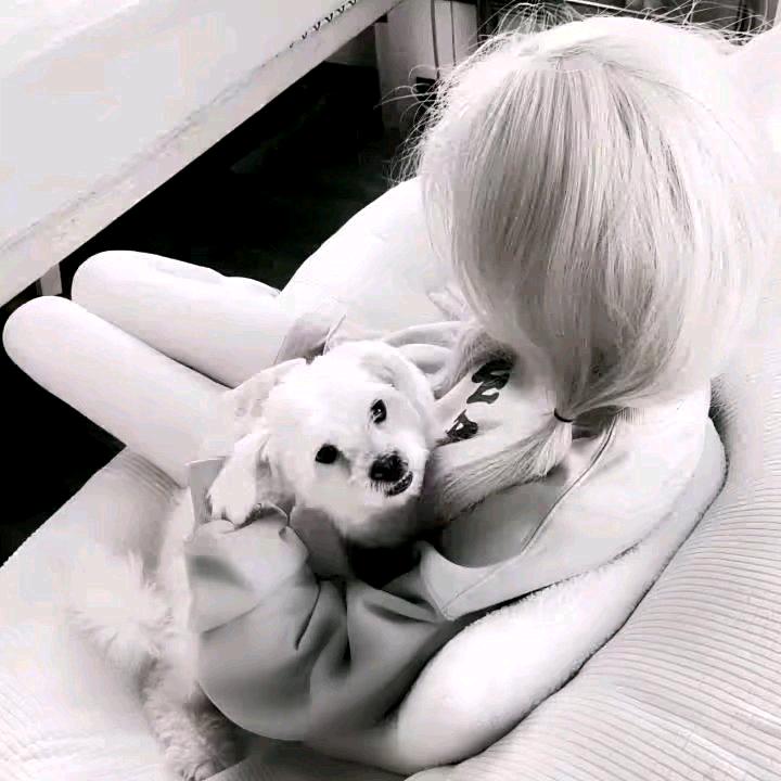 呆宅.