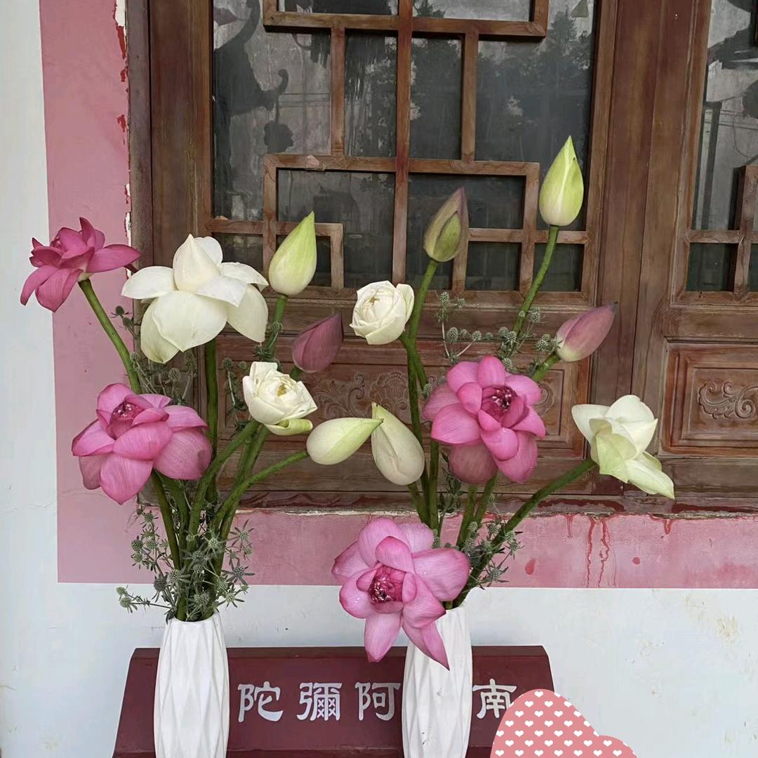 晓楠