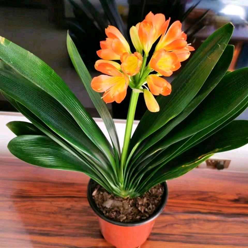 《🍓壹玖🍓》🍇🍇🍇