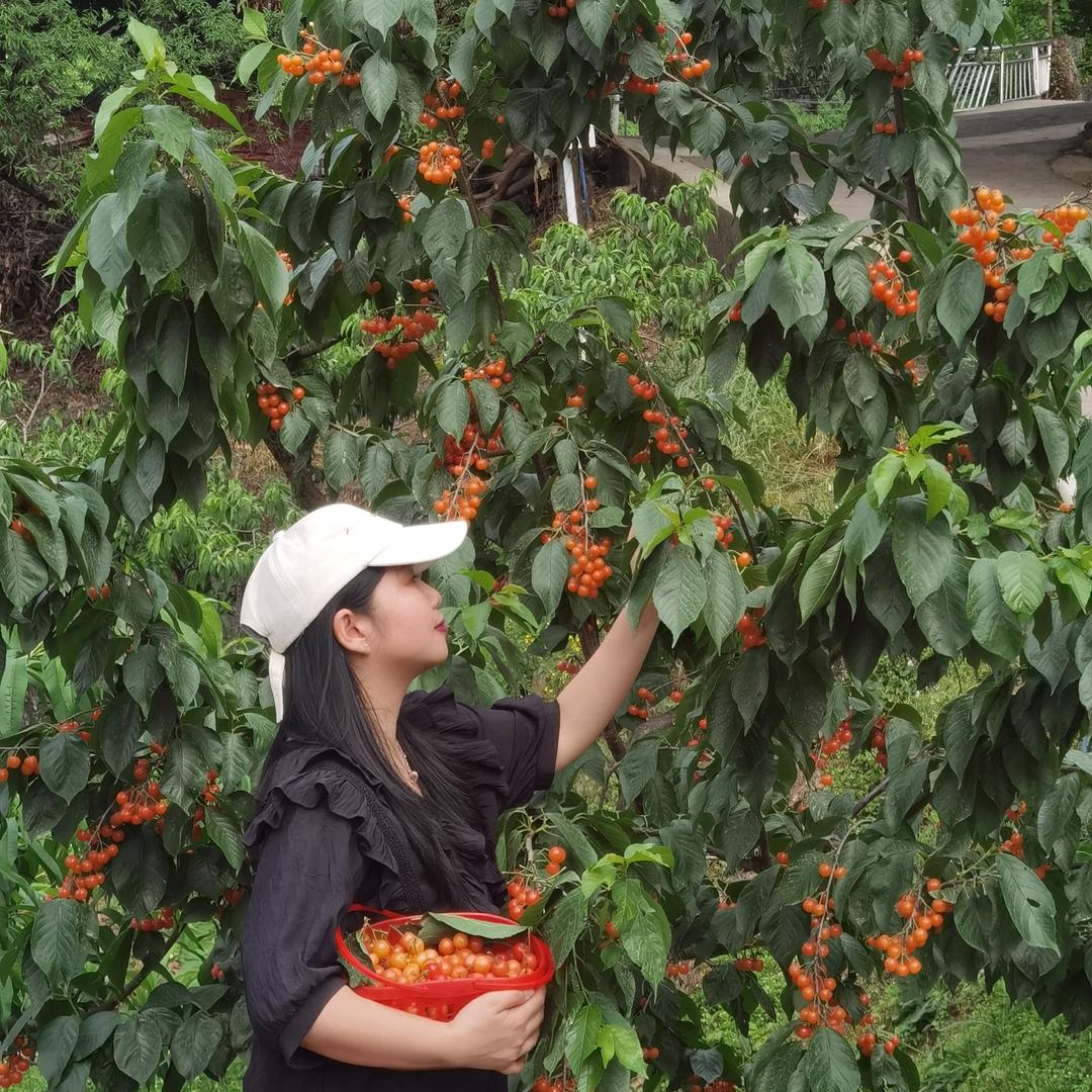 果果🍍鲜果匣子